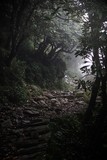 Fototapeta  - Mountain trek