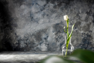 Fotomurales - Fresh spring flowers and dark mood interior 