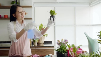 Wall Mural - Young woman planting in the flower pots on a counter at home.