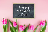 Fototapeta Na ścianę - Pink Tulip flower on pink background with copy space for text. Love and Mother day concept