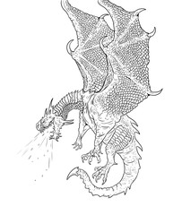 Poster - Dragon coloring page. Outline illustration. Dragon drawing coloring sheet.