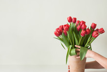 A Large Bouquet Of Red Tulips In A Ceramic Vase And In The Hands Of A Caucasian Woman Against A Light Wall And White Table. Banner With Copy Space.
