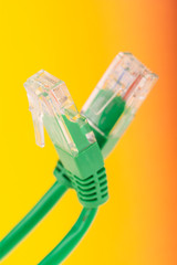 connection - a lan cable in closeup