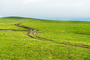 Wall Mural - Flint Hills