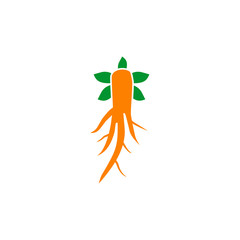 Canvas Print - Ginseng plant icon logo design vector template