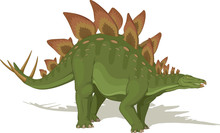 Vector Illustration, Ancient Animal, Dinosaur, Stegosaurus On A White Background.