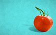 Fresh red tomatoe on turquoise color background.- oil painting