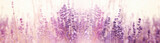 Lavender flower, selective and soft focus on lavender flowers