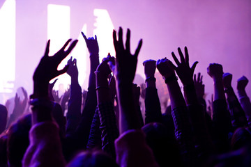 crowd cheering and hands raised at a live music concert