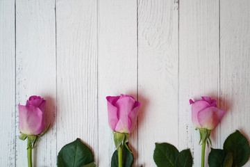 Three roses lie on a white wooden background. Space for text. Postcard for spring holidays