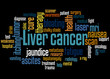 © kalpis - Liver cancer word cloud concept 3