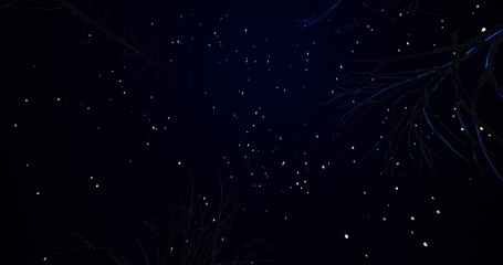 3d render with a dreamy scene starry sky and trees