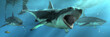 Three great white sharks swim towards you out of the depths.  One of them decides to take a bite out of you and attacks. 3D rendering