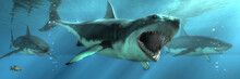 Three Great White Sharks Swim Towards You Out Of The Depths.  One Of Them Decides To Take A Bite Out Of You And Attacks. 3D Rendering