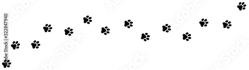 Fotografía Paw print foot trail. Dog, cat paw print. Vector