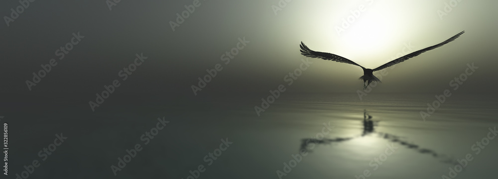 Eagle flying flush with water - obrazy, fototapety, plakaty 