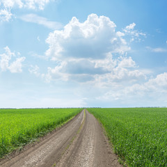 Sticker - rural road in green grass field and low clouds in blue sky