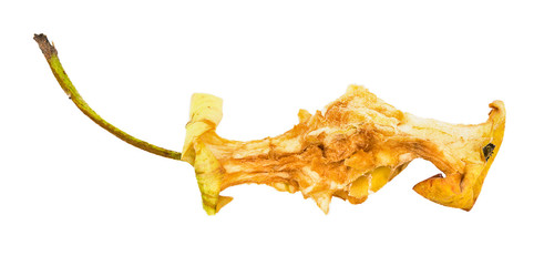 Dried-up eaten apple core. Isolated on white background with shadow reflection. With clipping path. Macro photography. Rest of apple on white bg. Apple waste. Rag from apple. Rest of eaten fruit