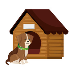 Poster - cute dog with wooden house isolated icon