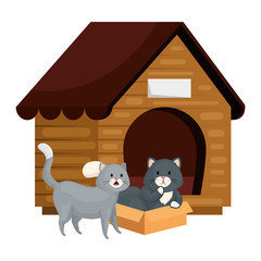 Poster - cute little cats with wooden house