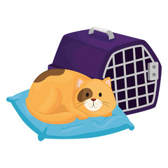 Poster - cute little cat in cushion with carry box