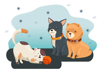 Poster - group of cute dogs and cat with ball toy