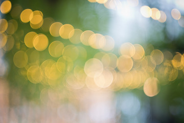 bokeh background, green leave blur background