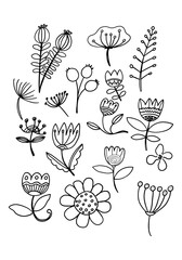 Set of hand drawn colorful set of  leaf, herbs and flowers. Detailed botanical illustrations. Vector plants design collection