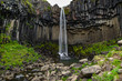 svartifoss waterfall in Iceland during summer
