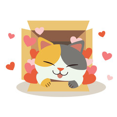 Wall Mural - The character of cute cat in the box and play a heart on the white background. The character of cute cat with heart in the box. The character of cute cat in flat vector style.