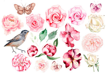 Set with watercolor peony, ross, petunia, butterfly and bird. 