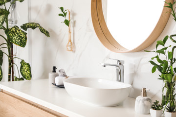 Wall Mural - Stylish vessel sink and green plants in bathroom. Interior design element