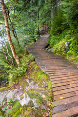 Poster - around Lac de Gerardmer in France