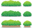 © Piyathida P - Green bushes isolated on white background, outdoor potted plants. Vector Illustration.