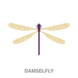 damselfly flat icon on white transparent background. You can be used black ant icon for several purposes.	