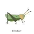 cricket flat icon on white transparent background. You can be used black ant icon for several purposes.	