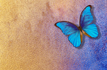 Gold And Blue Background. Watercolor Paper Painted In Blue And Gold Paint. Bright Morpho Butterfly On A Blue And Gold Background. Watercolor Paper Texture