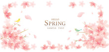 春の花　桜　spring Flowers　background