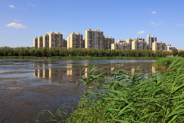 Wall Mural - Water Park Natural Scenery, Luannan County, Hebei Province, China