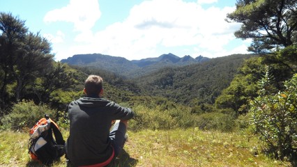 Traveler is sitting on the grass and taking a rest from his exhausting hike in the forest on the Great Barrier Island