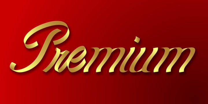 premium hand drawn lettering phrase illustration