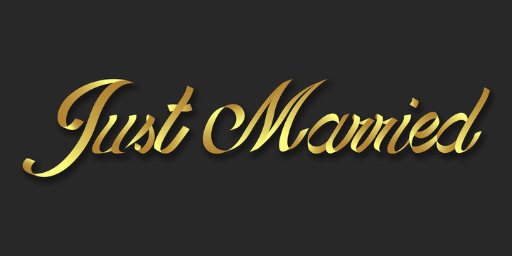 just married hand drawn lettering phrase illustration