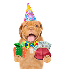 Happy puppy wearing a party`s hat  holds retro wallet and gift box. isolated on white background