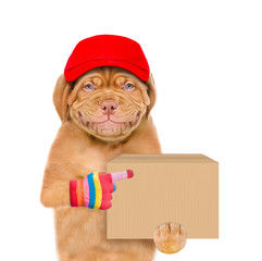 Aufkleber - Smiling puppy wearing a red cap points on big box. Delivery concept. Isolated on white background