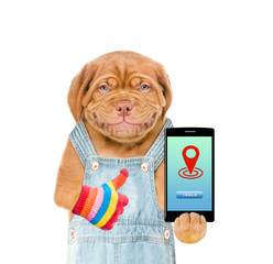 Aufkleber - Smiling puppy wearing overalls holds smartphone with tracking symbol and shows thumbs up. Tracking concept. Isolated on white background