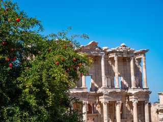 Statues and ancient Roman ruins of Ephesus, Izmir, Turkey