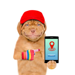 Aufkleber - Smiling puppy wearing a red cap  points on smartphone with tracking symbol. Tracking concept. Isolated on white background