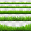Grass borders collection. Green meadow nature background. Easter card design element. Vector illustration.