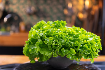 A batch of fresh, organic lettuce set on the table in a rustic style kitchen. 