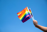 Fototapeta Tęcza - People holding and waving LGBT pride flags with blue sky background